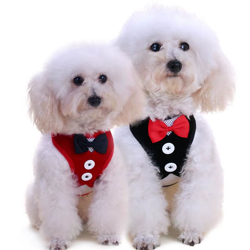 Elegant Bowtie Dog Harness Vest with Leash Adjustable Cat Harness Leash Set Cute Bow Knot Tuxedo Suit for Cats Kitten Puppy