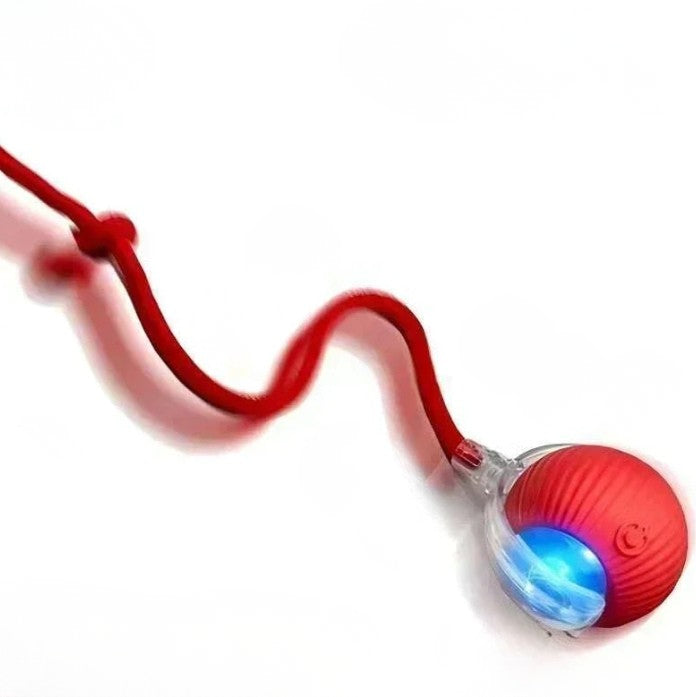 Jouet interactif intelligent pour chat et petit chien – Balle rebondissante USB