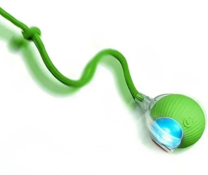 Jouet interactif intelligent pour chat et petit chien – Balle rebondissante USB