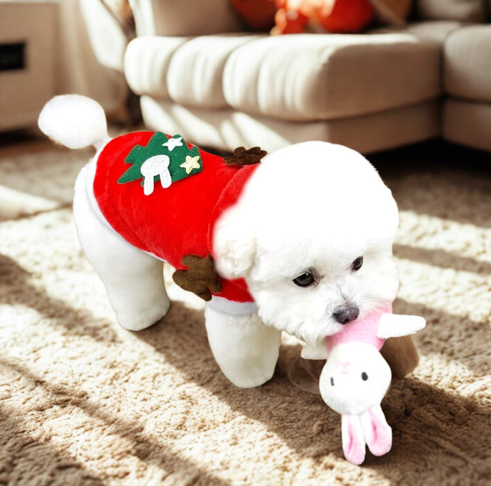 costume de noël pour chat et petit chien