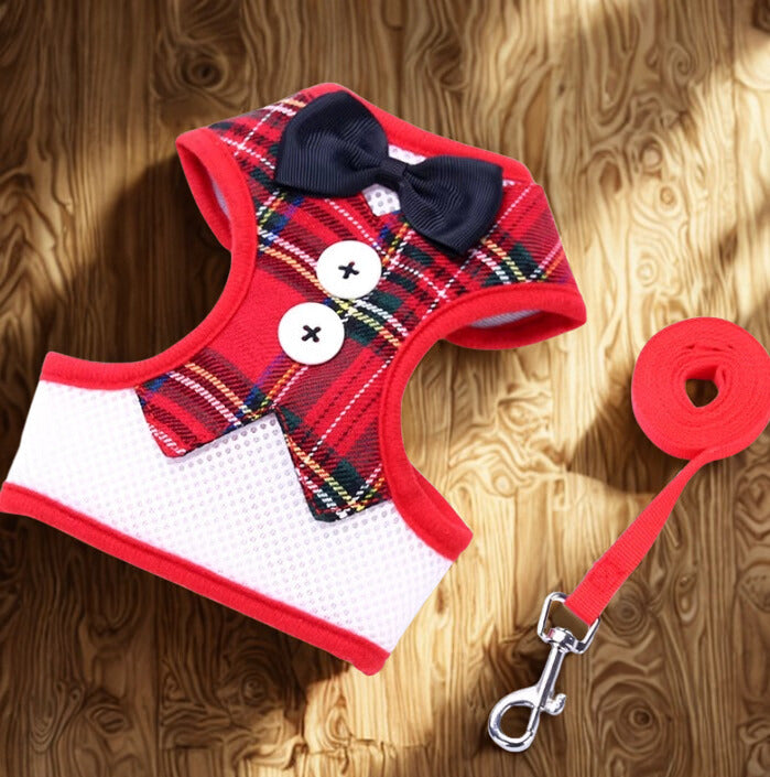 Harnais et laisse avec nœud papillon pour chien et chat – Ensemble mignon et confortable