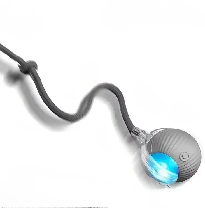 Jouet interactif intelligent pour chat et petit chien – Balle rebondissante USB